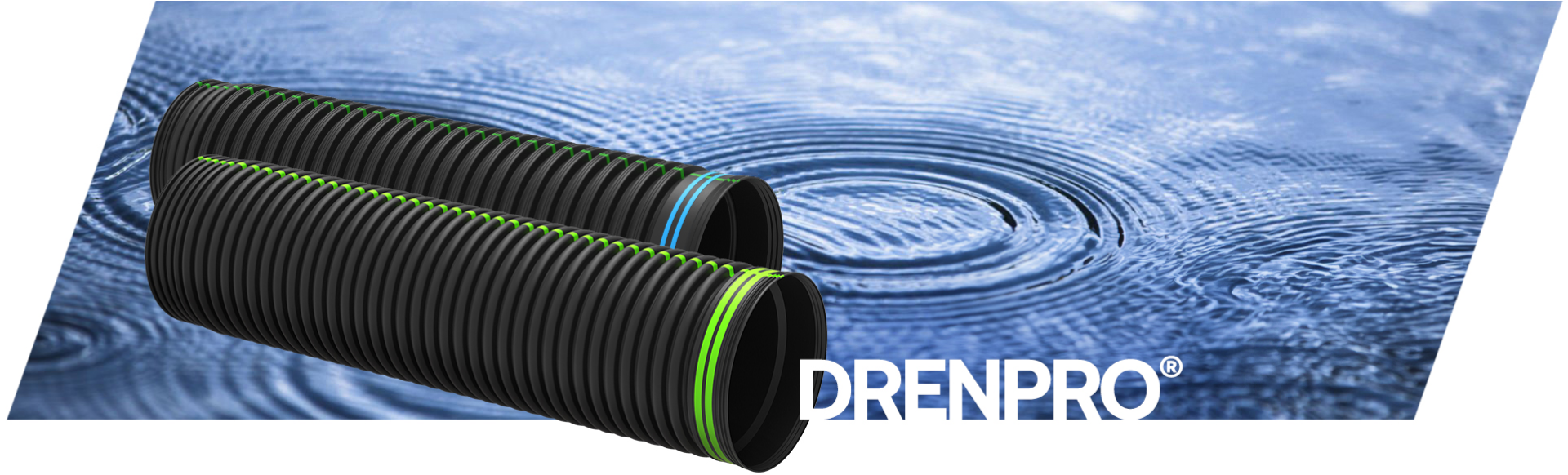 denpro-banner denpro-banner