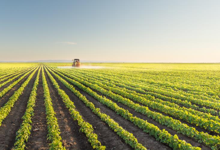drenagem agricola original